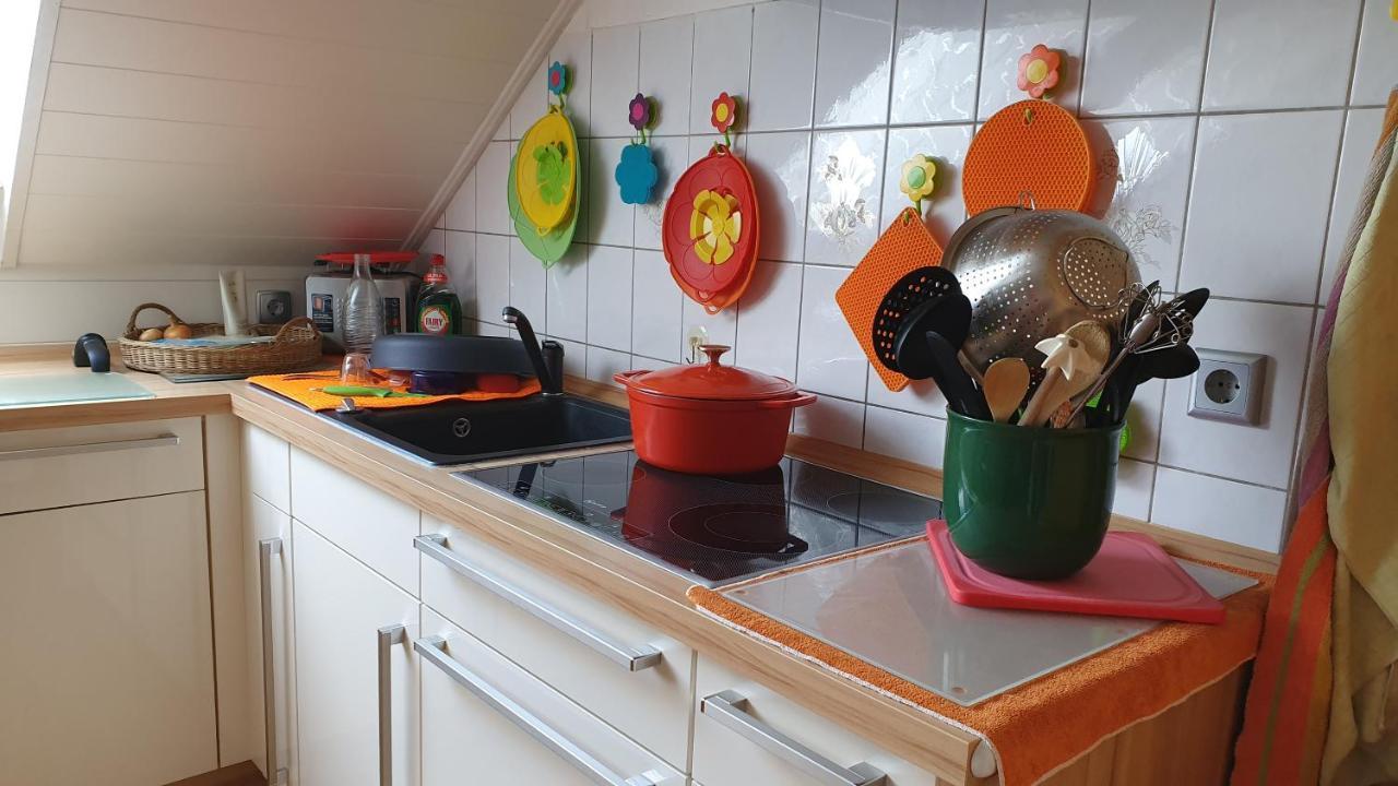 100Qm Ferienwohnung In Halberstadt, Dem Tor Zum Harz Exterior foto